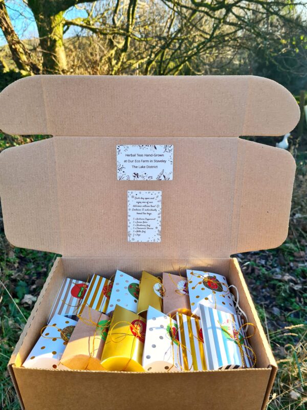 Herbal Tea 12 Days of Christmas Advent Box